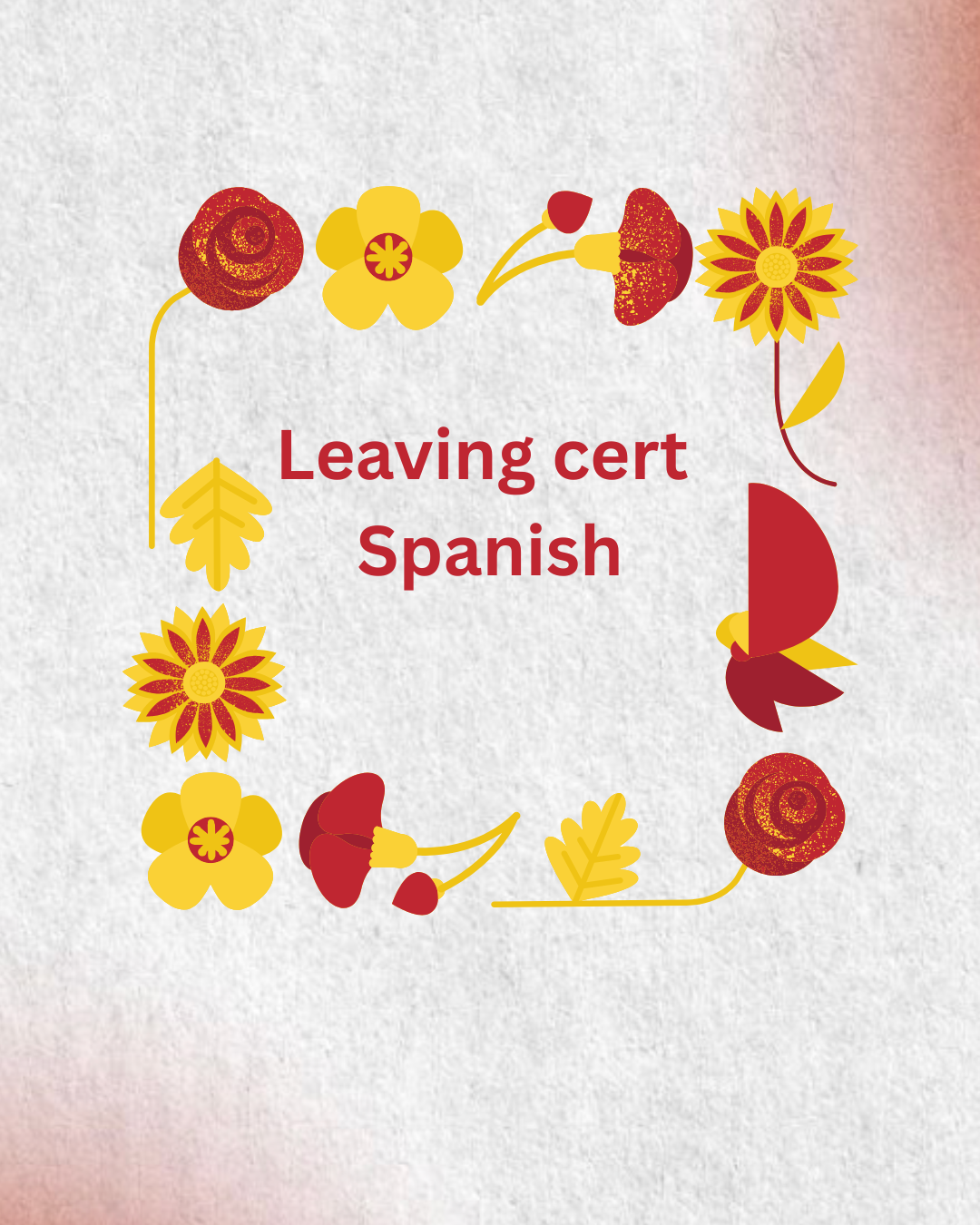 Leaving Cert Spanish Trial Class