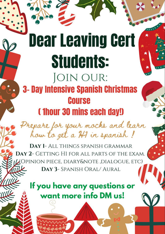 Leaving cert 3 Day intensive Christmas course